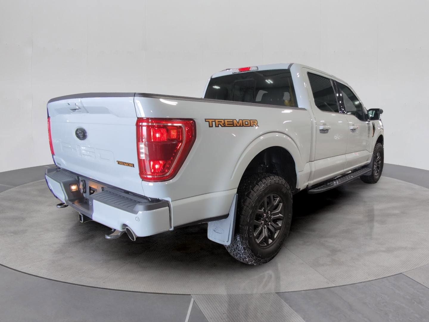 2023 Ford F-150 Tremor - Photo 6