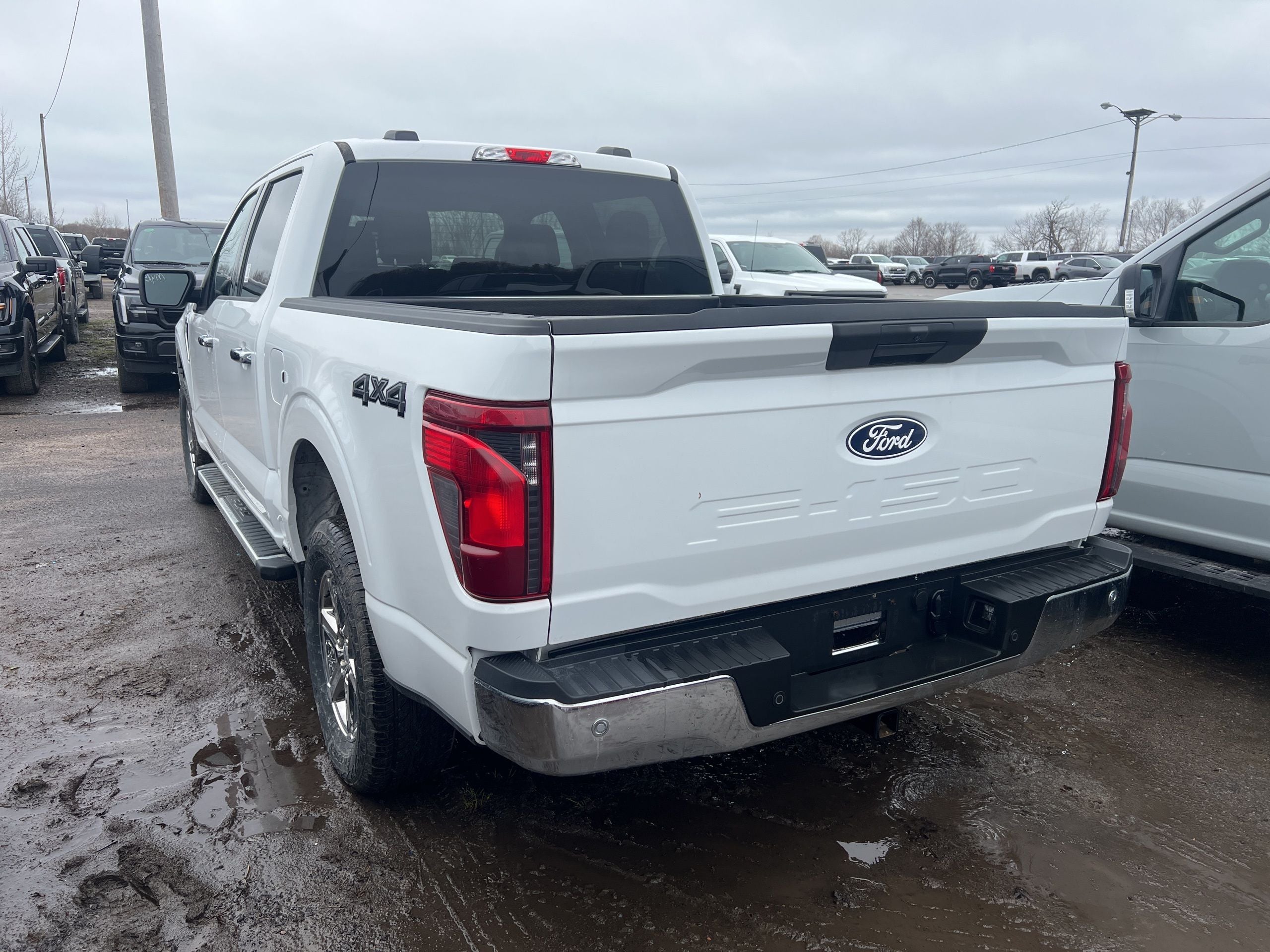 2025 Ford F-150 XLT