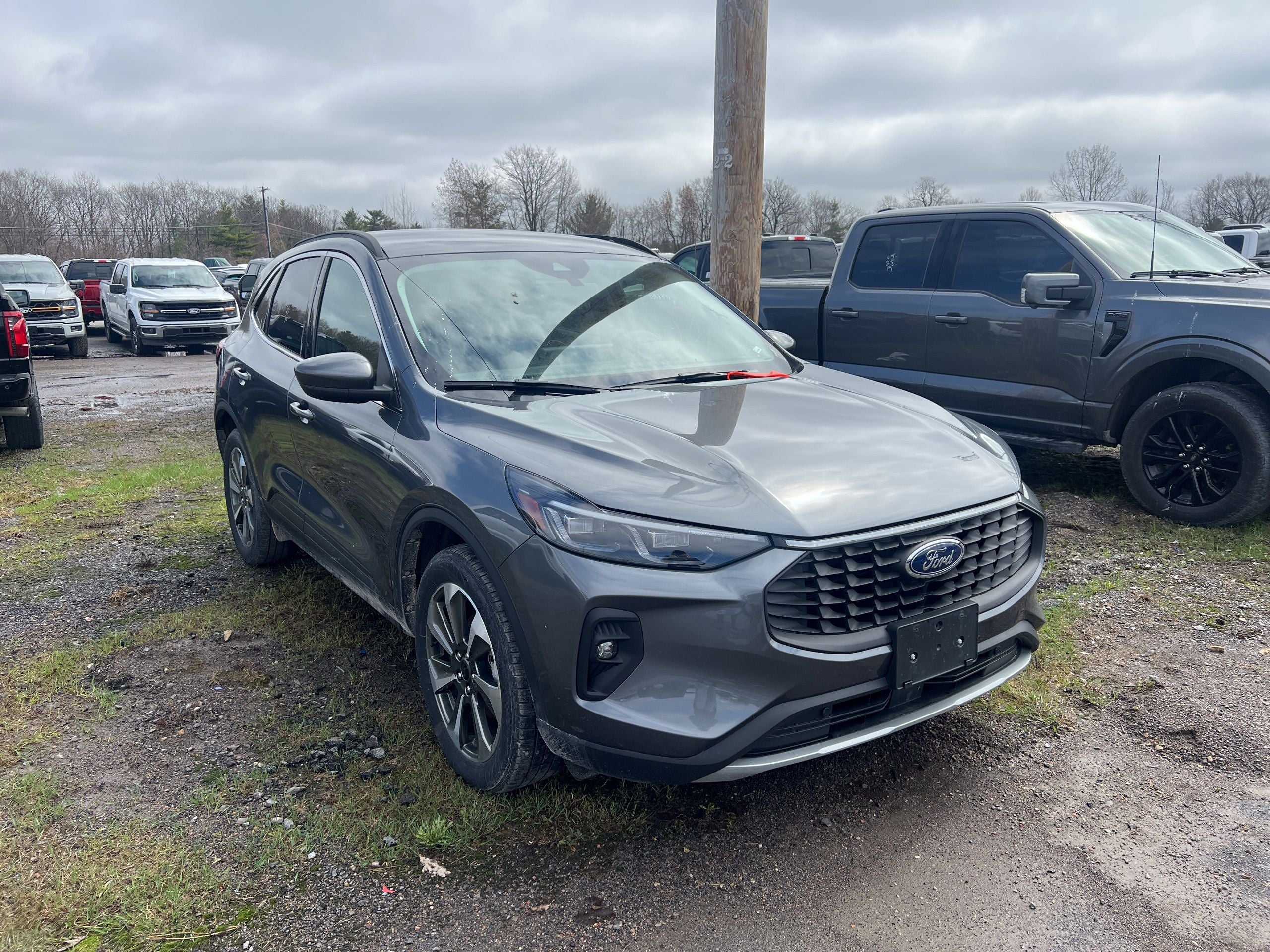 2025 Ford Escape Platinum