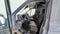 2024 Ford Transit-350 Base