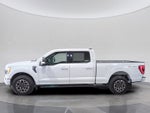 2023 Ford F-150 Base