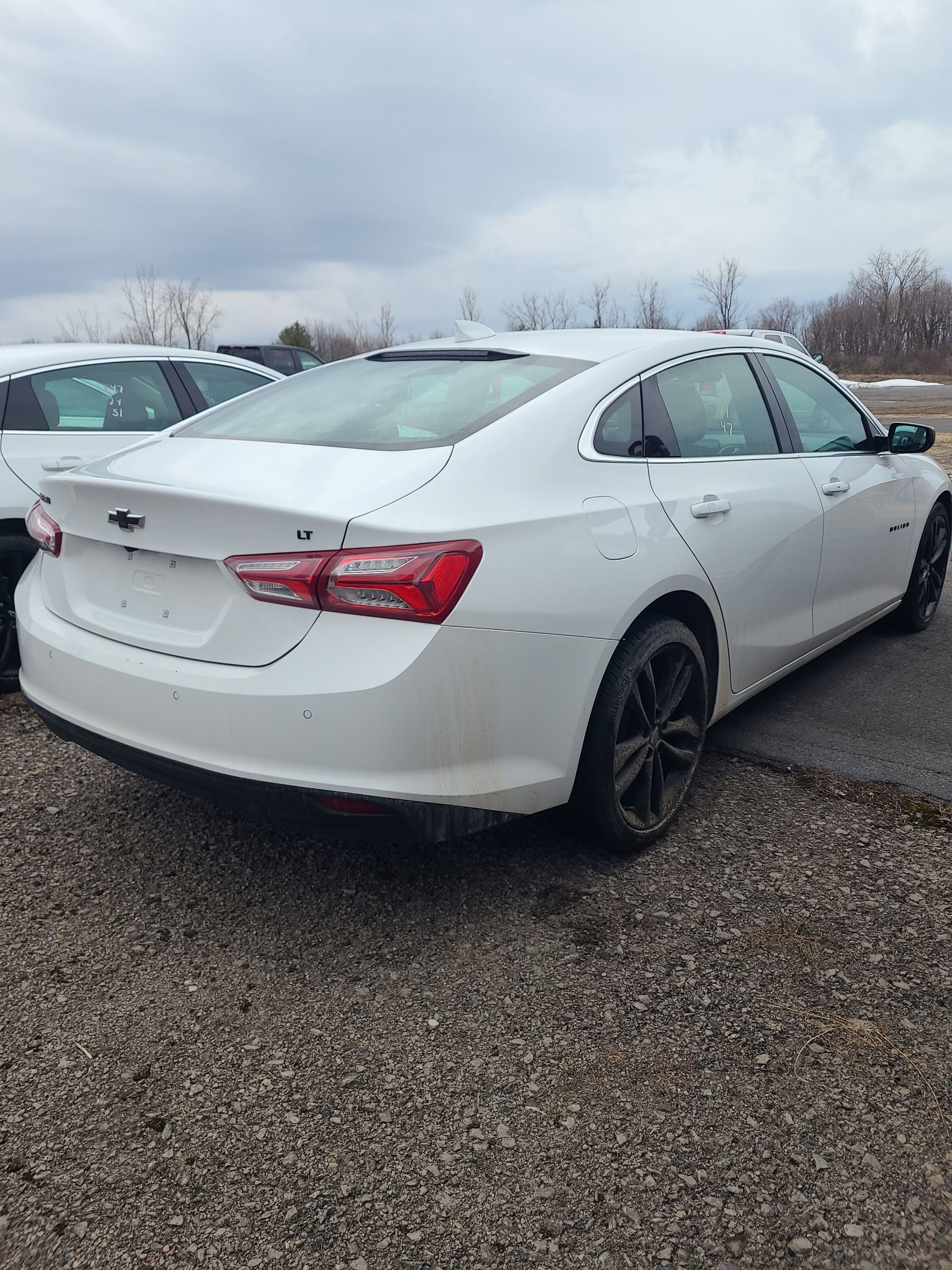 2024 Chevrolet Malibu 1LT